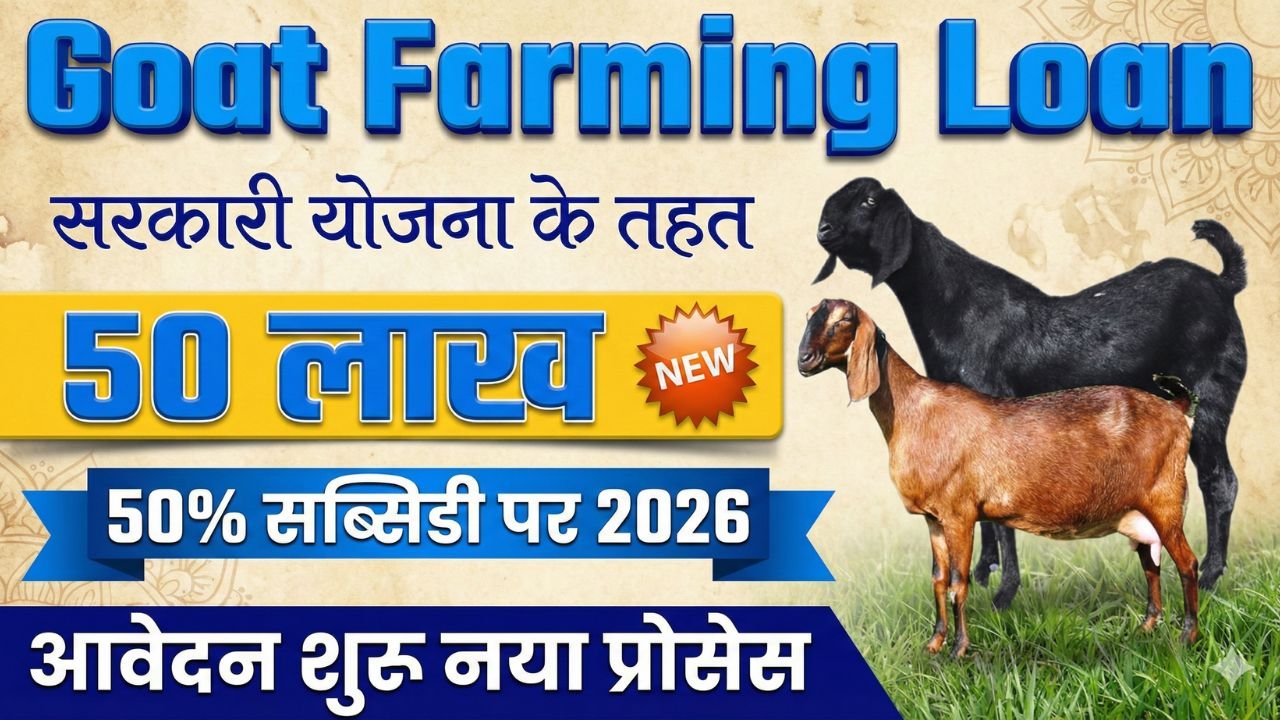 Goat Farming Loan